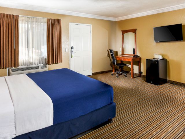A wide view of a hotel room with a bed, desk, TV, and window