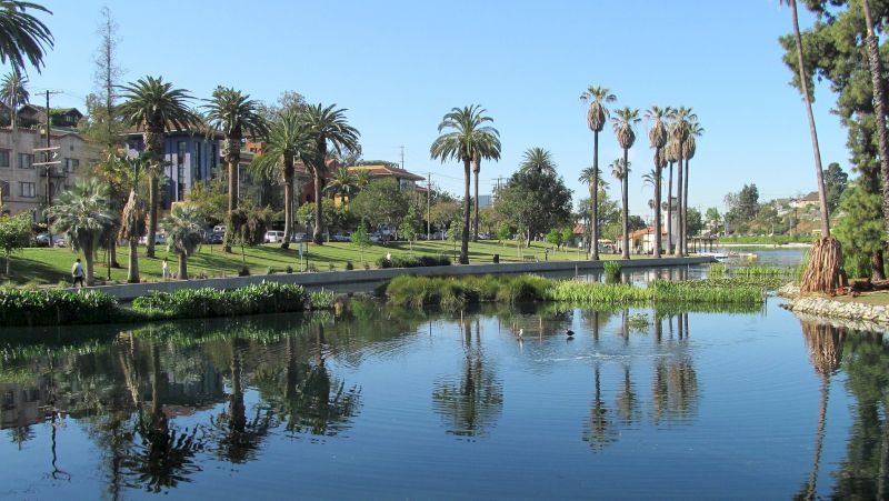 A lake with palm trees and buildings in the background